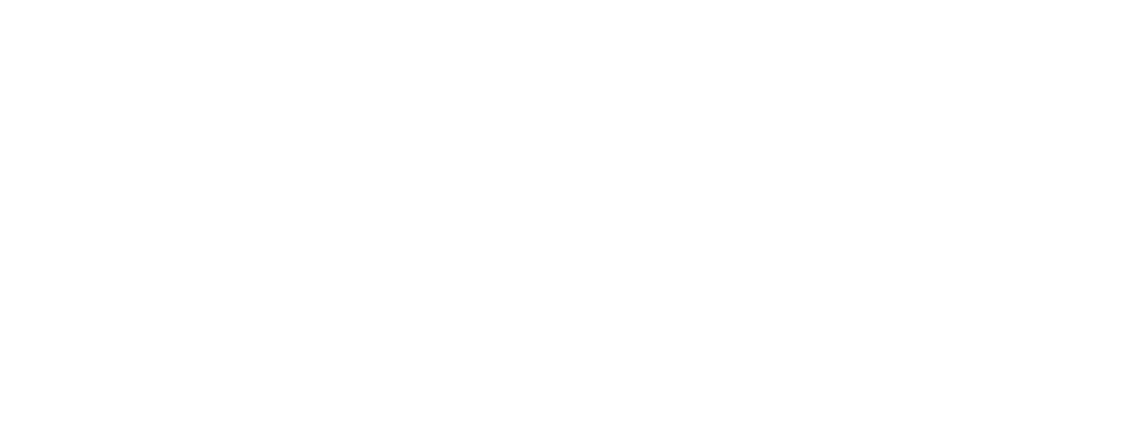 White Factor Finders Logo
