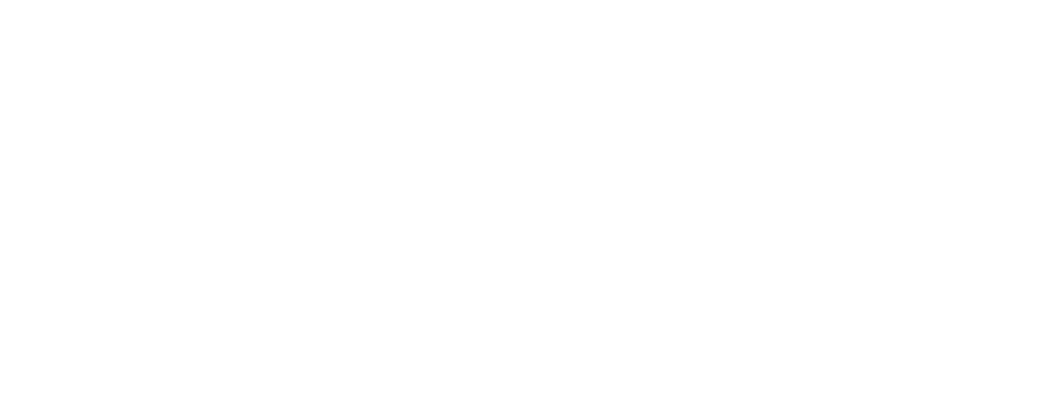 White Factor Finders Logo