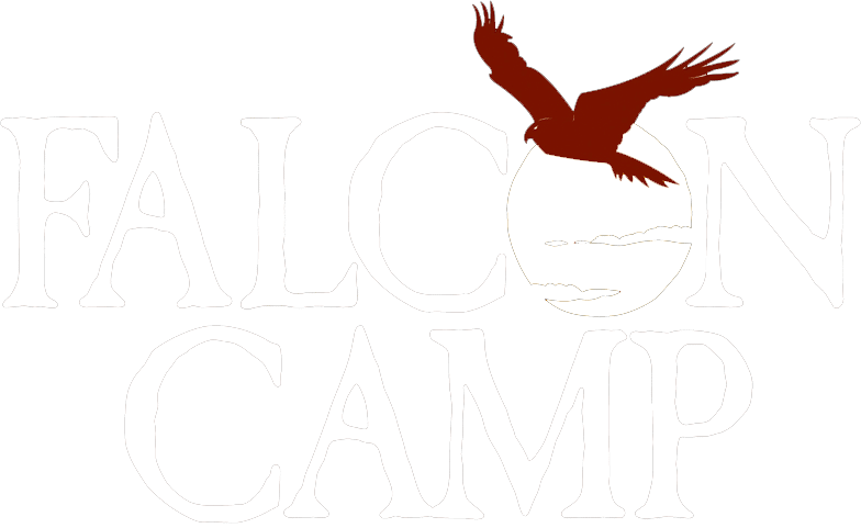 Falcon Camp Logo-White